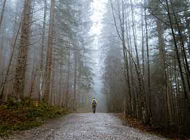 person hiking on trail